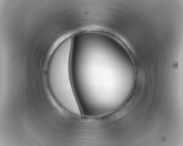 X0000092041418200709120956