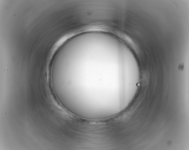 X0000092041419200709120956