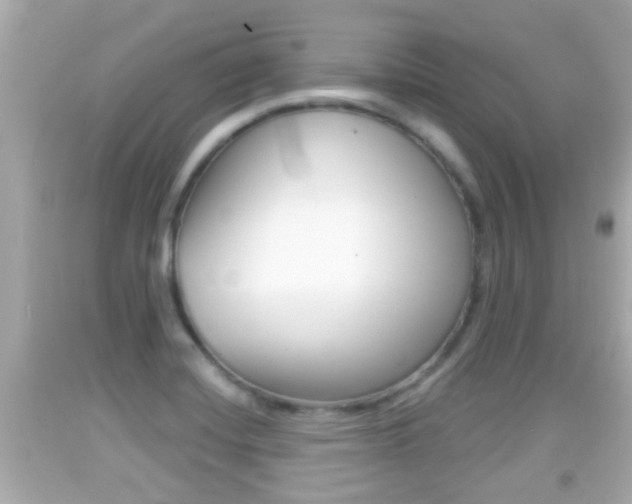 X0000092041420200709120956