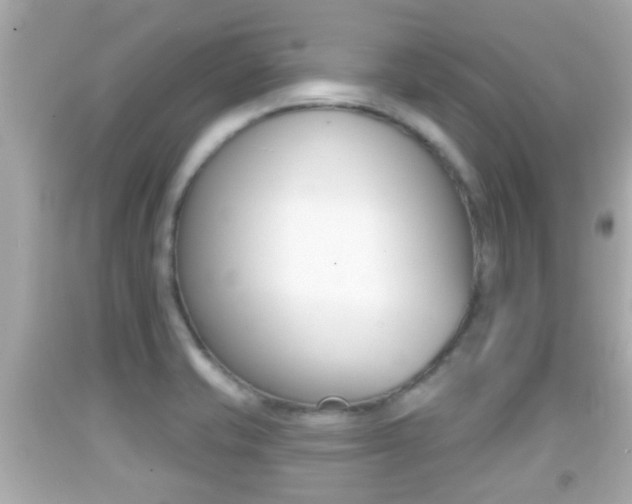 X0000092041421200709120956