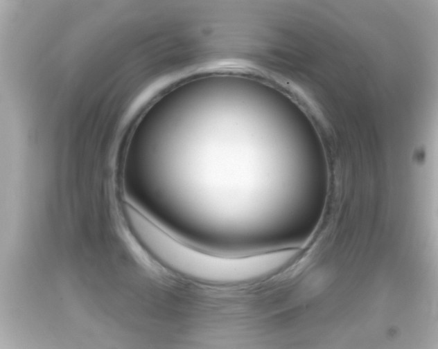 X0000092041422200709120956