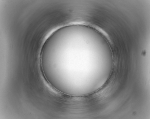 X0000092041423200709120956