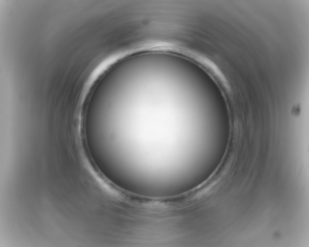 X0000092041424200709120956