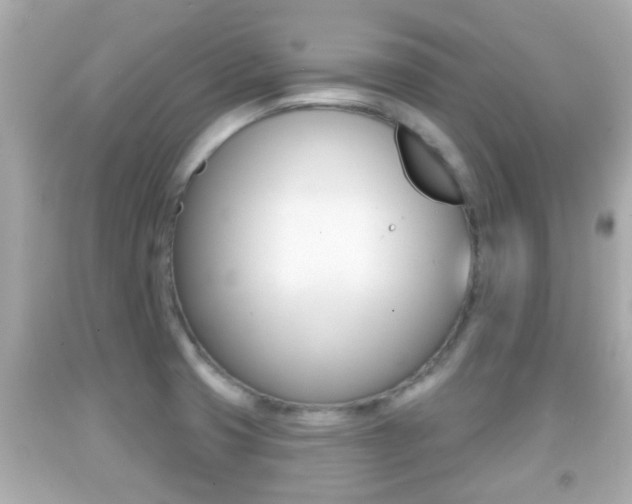 X0000092041425200709120956