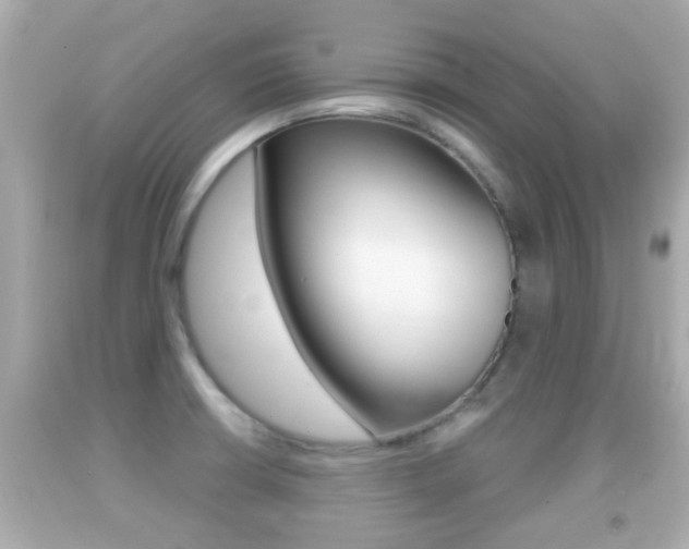 X0000092041426200709120956