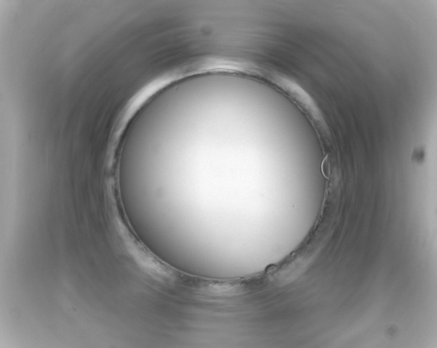 X0000092041427200709120956