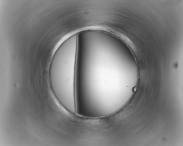 X0000092041428200709120956