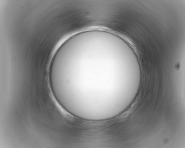 X0000092041430200709120956