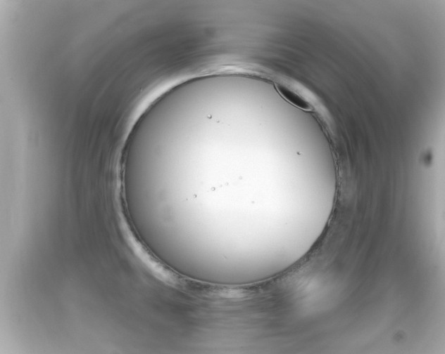 X0000092041431200709120956