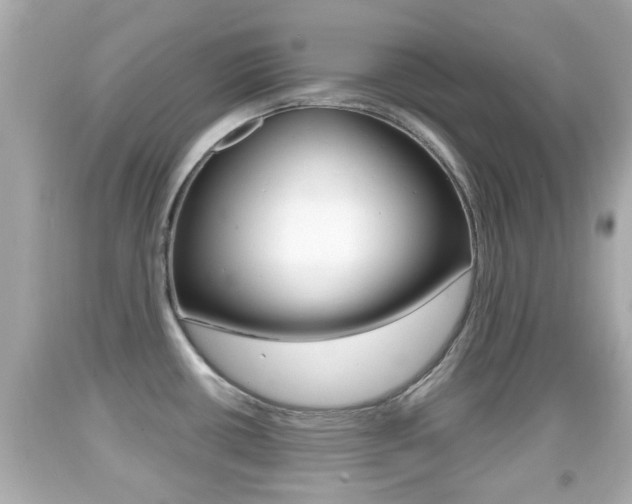 X0000092041434200709120956