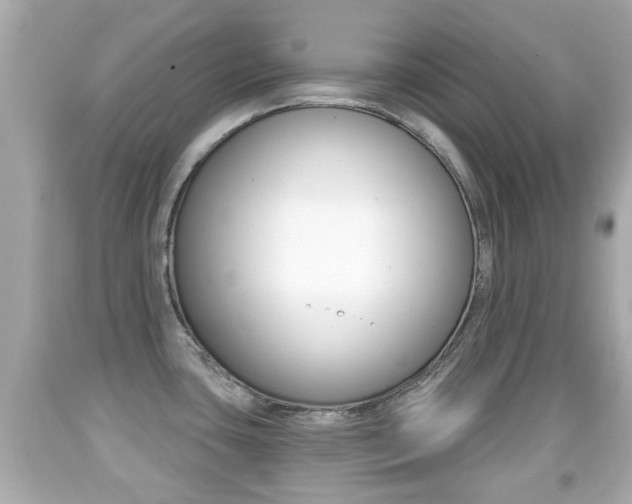 X0000092041435200709120956