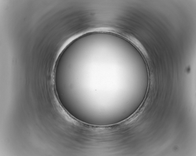 X0000092041436200709120956