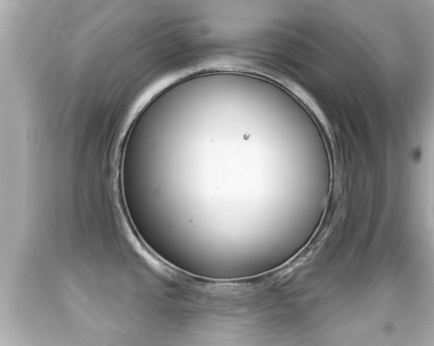 X0000092041437200709120956