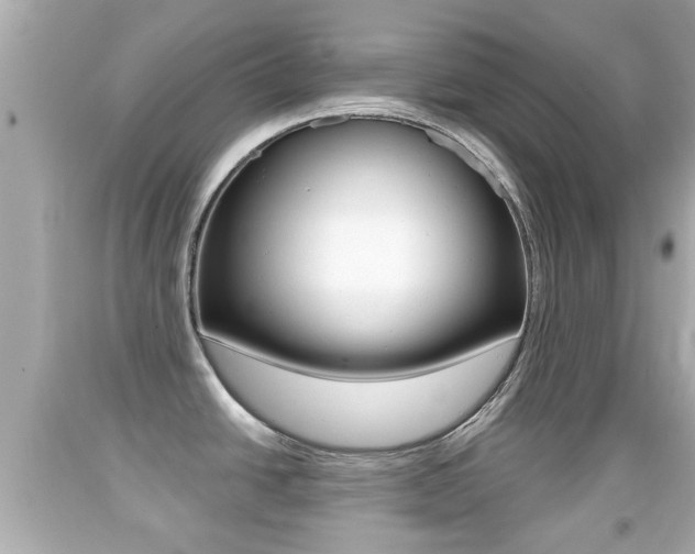 X0000092041438200709120956