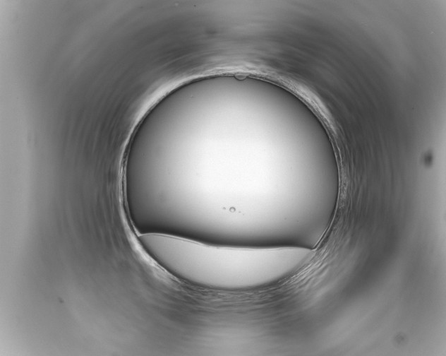 X0000092041439200709120956