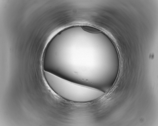 X0000092041440200709120956