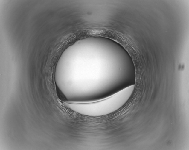 X0000092041441200709120955