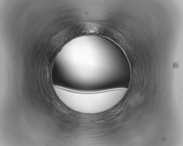 X0000092041442200709120955