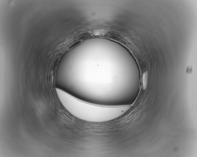 X0000092041443200709120955