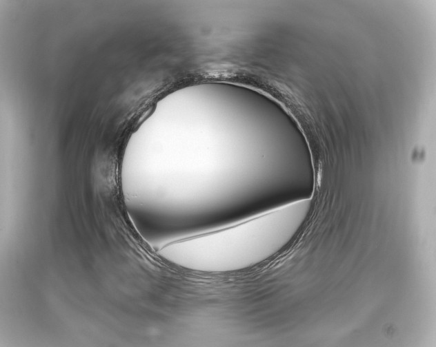 X0000092041444200709120955