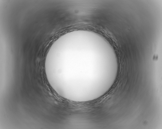 X0000092041445200709120955