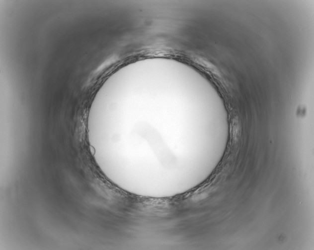 X0000092041446200709120955
