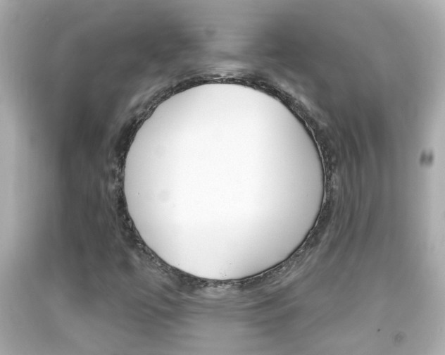 X0000092041447200709120955