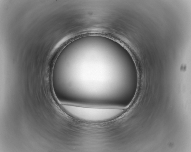 X0000092041450200709120955