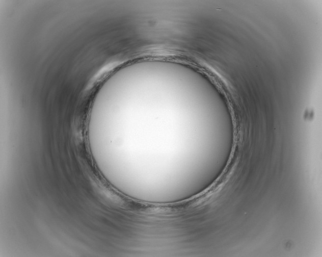 X0000092041451200709120955