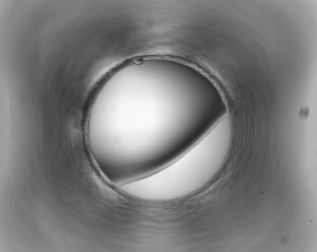 X0000092041452200709120955