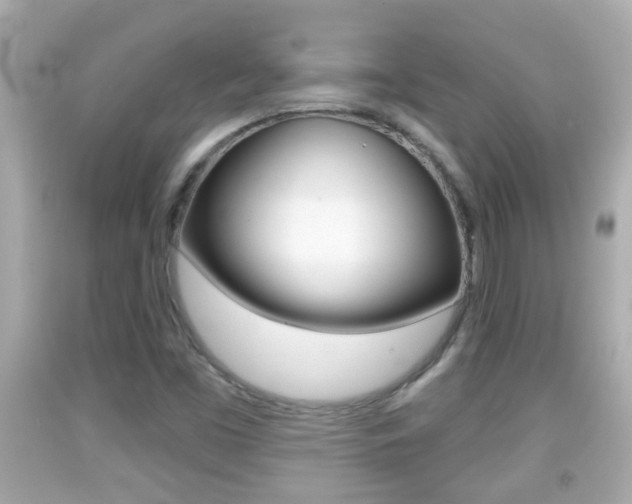X0000092041453200709120955