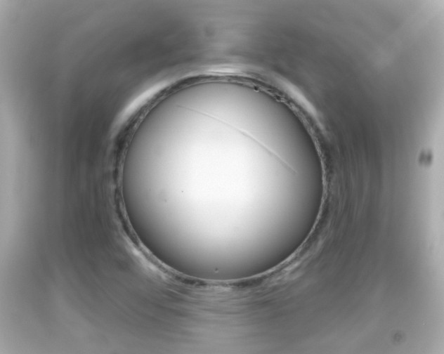 X0000092041456200709120955