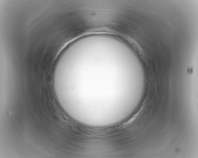 X0000092041457200709120955
