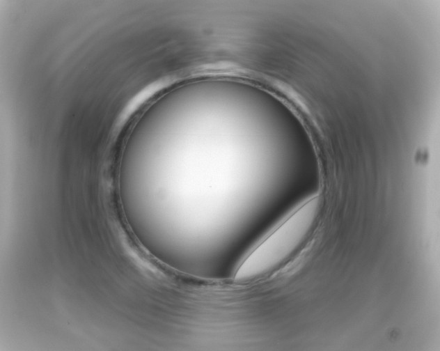 X0000092041458200709120955