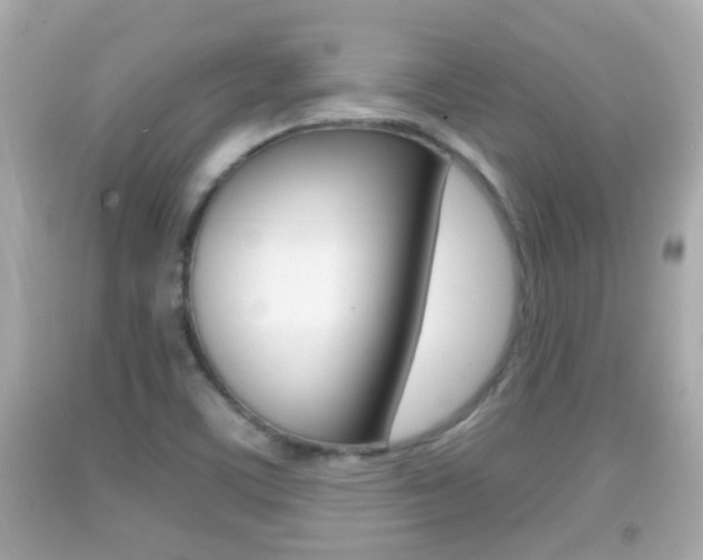 X0000092041459200709120955