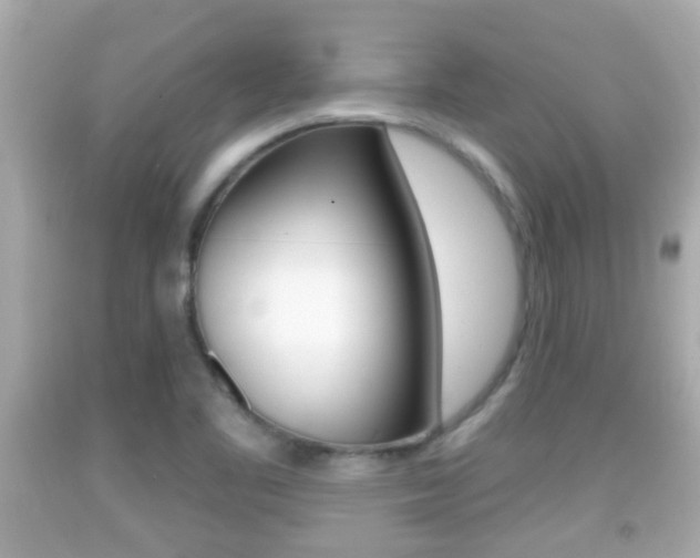 X0000092041461200709120955