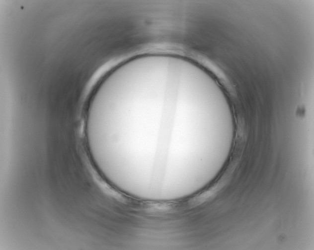 X0000092041462200709120955