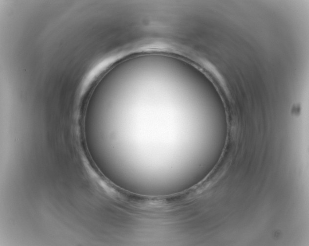 X0000092041464200709120955