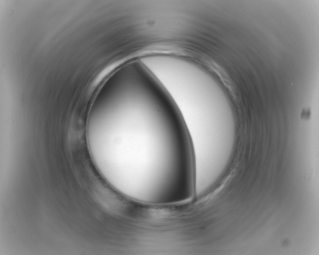 X0000092041465200709120955