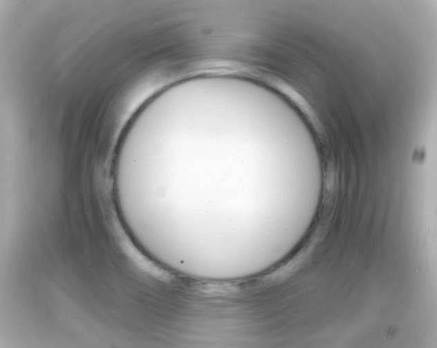 X0000092041466200709120955