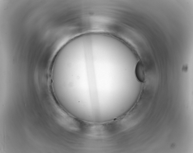 X0000092041467200709120955