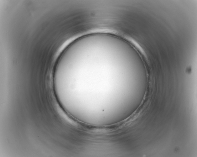 X0000092041468200709120955