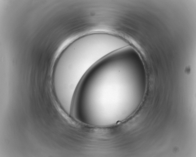 X0000092041469200709120955
