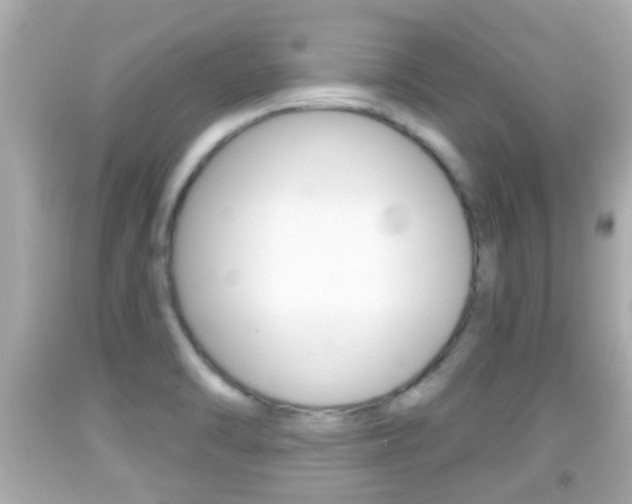 X0000092041470200709120955