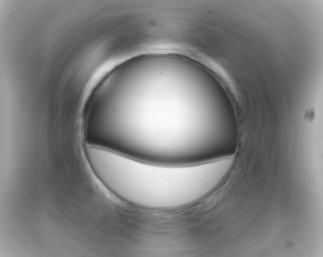 X0000092041472200709120955