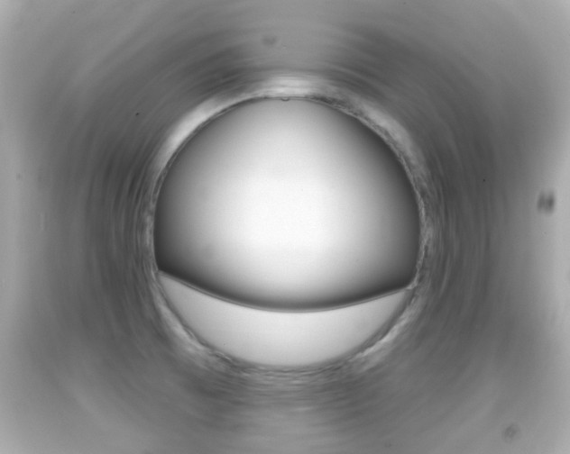 X0000092041473200709120955