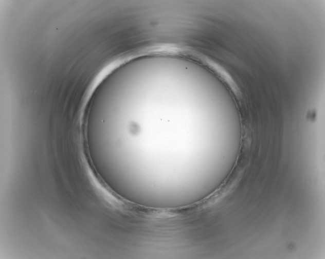 X0000092041475200709120955