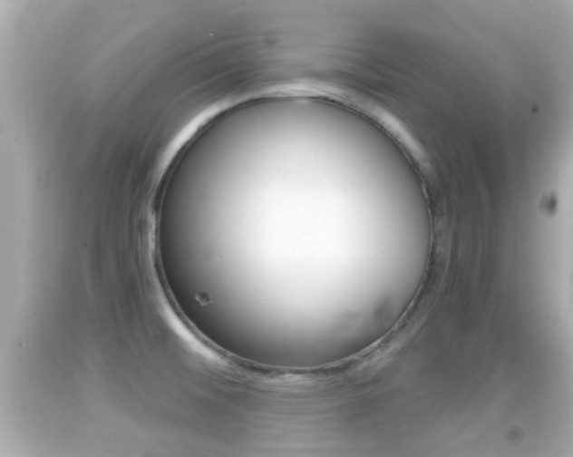 X0000092041476200709120955
