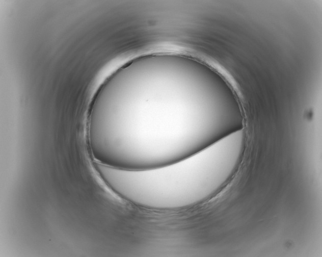 X0000092041477200709120955