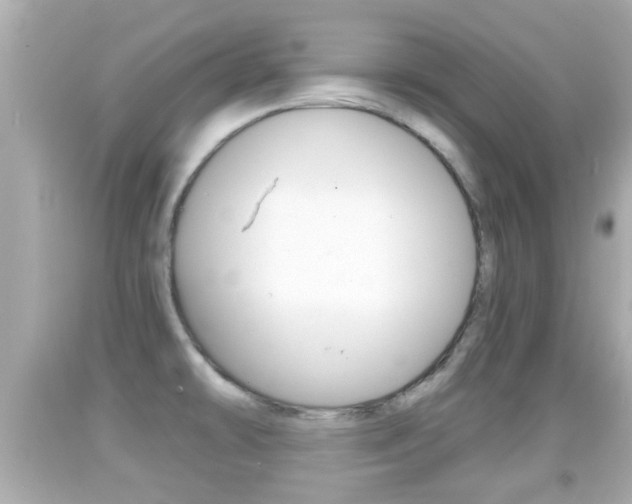 X0000092041478200709120955